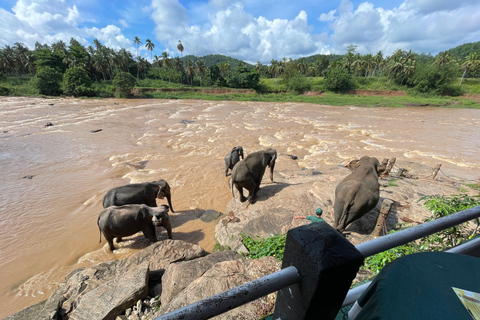 Vanuit de haven van Colombo : Excursies Pinnawala