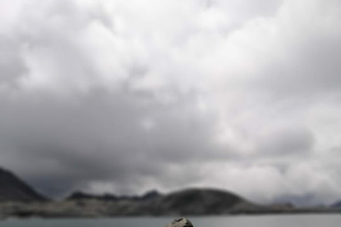 Huaraz: cały dzień z Nevado Pastoruri + woda gazowana