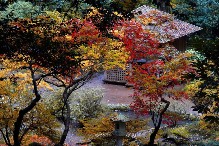 Kobuleti Reserve, Petra Fortress & Garden Tour