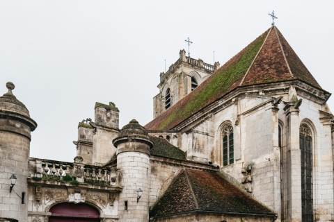 Borgoña: Visita a la bodega