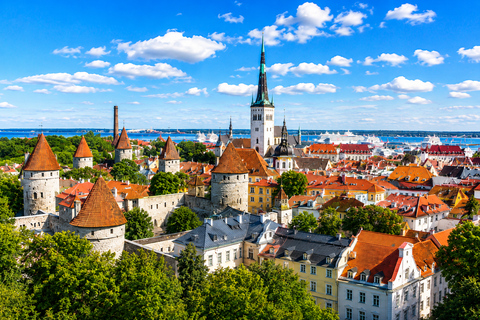 Luxury Day Trip to Tallinn with Lounge Access, Lavish Buffet