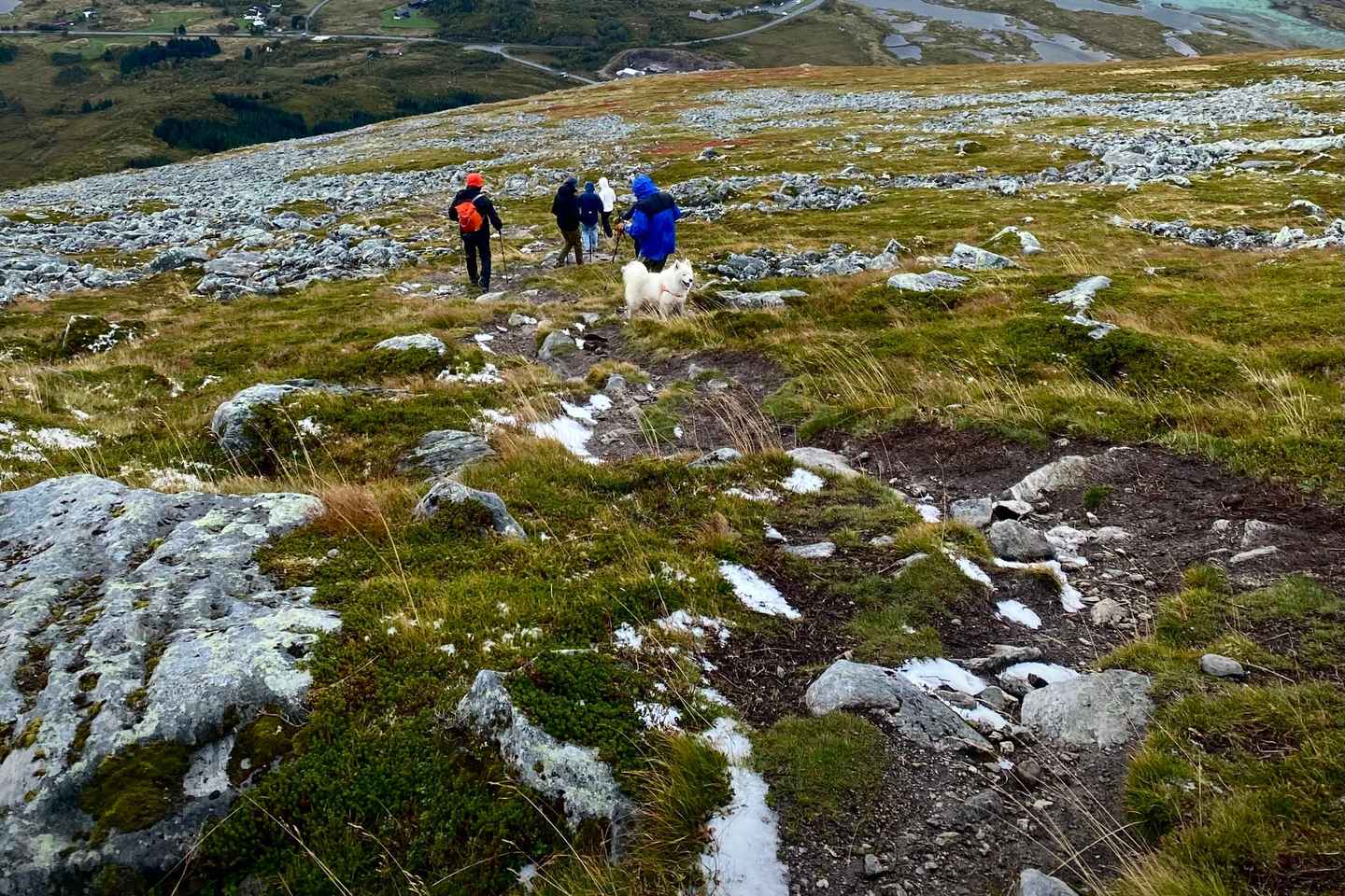 Lofoten Islands: Guided Hiking Into the Wilderness - Uphill