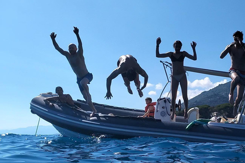 Baignade avec les cétacés Visite privée en bateau Genova Portofino