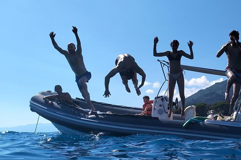 Baignade avec les cétacés Visite privée en bateau Genova Portofino
