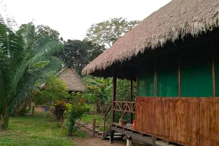 Aventure de 4 jours dans la jungle amazonienne