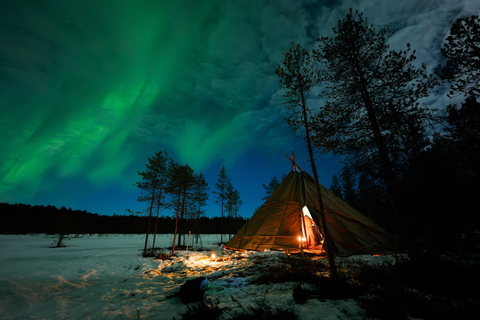 Ranua: Lupland Aurora Activity Park – After Dark Adventure