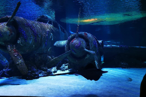 Antalya: Aquarium Tour with Hotel Pickup & Combo Options Antalya Aquarium & Wax Museum Entry Ticket