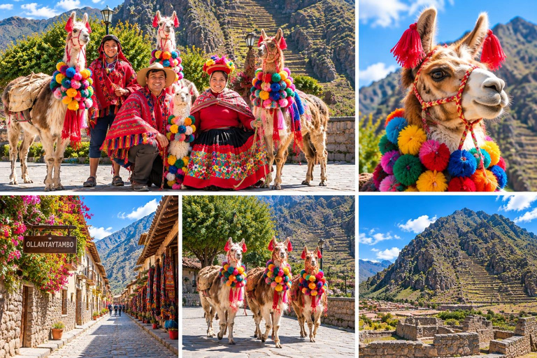 Ollantaytambo: Guided Llama Walk with Farm Visit