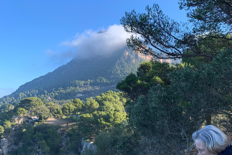 Expérience de la randonnée dans la Sierra de TramuntanaSierra de Tramuntana - randonnée hivernale