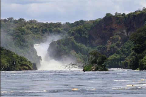 6-Day Kibale, Queen Elizabeth & Murchison Tour