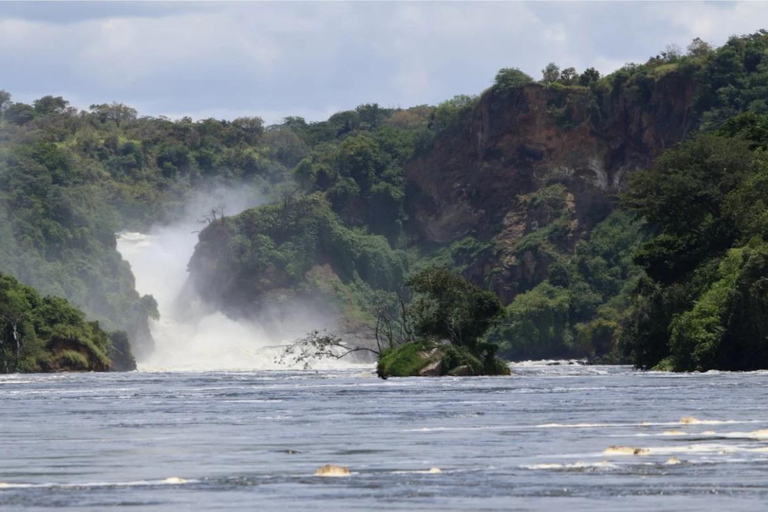 6-Day Kibale, Queen Elizabeth & Murchison Tour