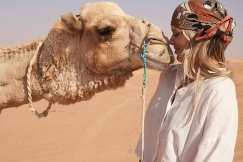 From Djerba: Douz, Matmata Star Wars Sites & local market