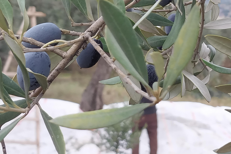 Kusadası: Countryside Tour with Lunch and Drinks