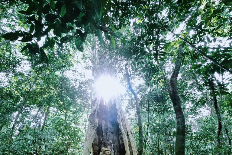 Parque Nacional de Cat Tien Tour particular de 2 dias com guia de turismoNão inclui alimentação e hotel