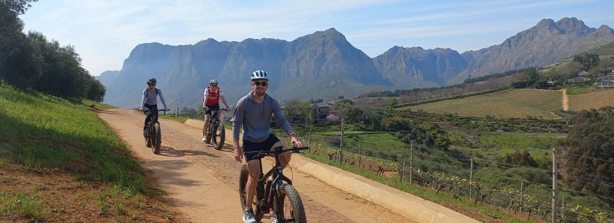 Stellenbosch : Stellenbosch E-Bike & Wine Tour (Visite partagée)