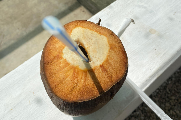 Salalah City Tour: Mosque, Al Gharif Project and Royal Farm