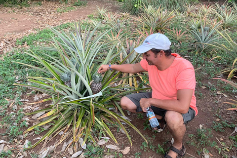 Sansibar : Gewürzfarm &amp; Rundgang in Stone Town