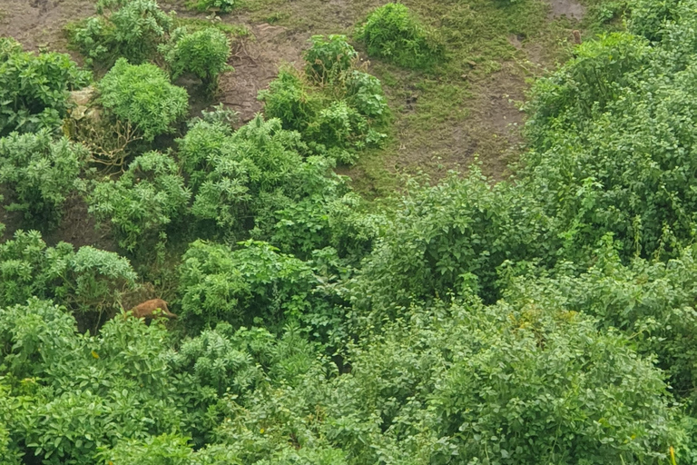 Mount Entoto Heritage, Nature & Village Experience – 6 Hours