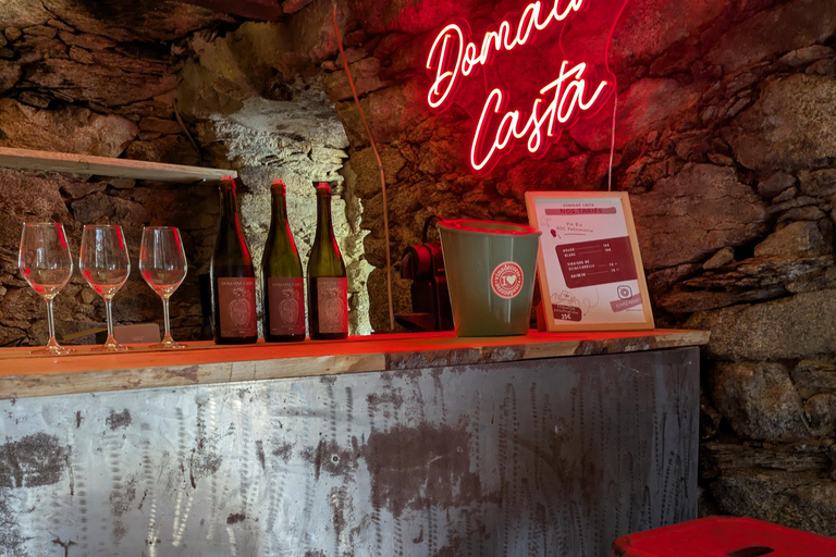 Korsika: Verkostung von Bio-WeinenKorsika: Bio-Weinverkostung