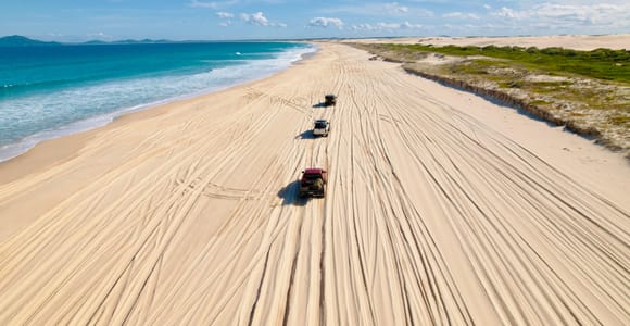 Sydney: Nelson Bay Vibey Beach Driving & Koala Tour