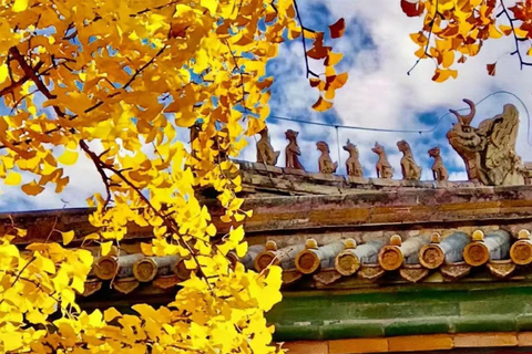 Beijing: Forbidden City Guided Tour with Entry Ticket
