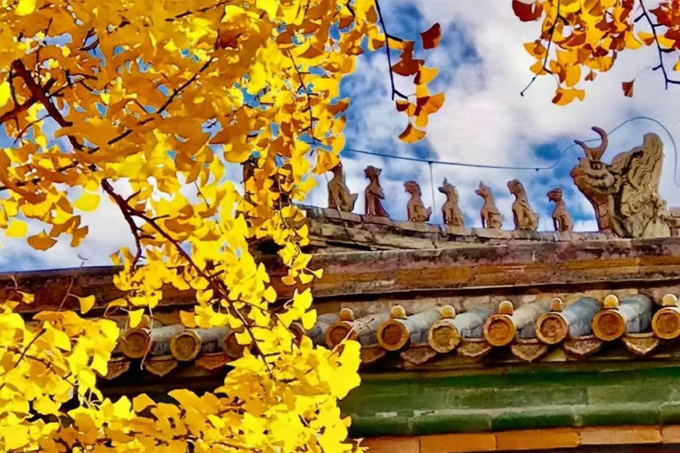 Beijing: Forbidden City Guided Tour with Entry Ticket
