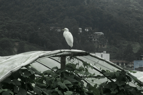 Excursión de un día a Nagarkot DhulikhelExcursión de un día a Nagarkot y Dhulikhel