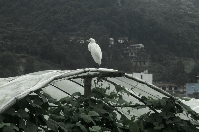 Excursión de un día a Nagarkot DhulikhelExcursión de un día a Nagarkot y Dhulikhel