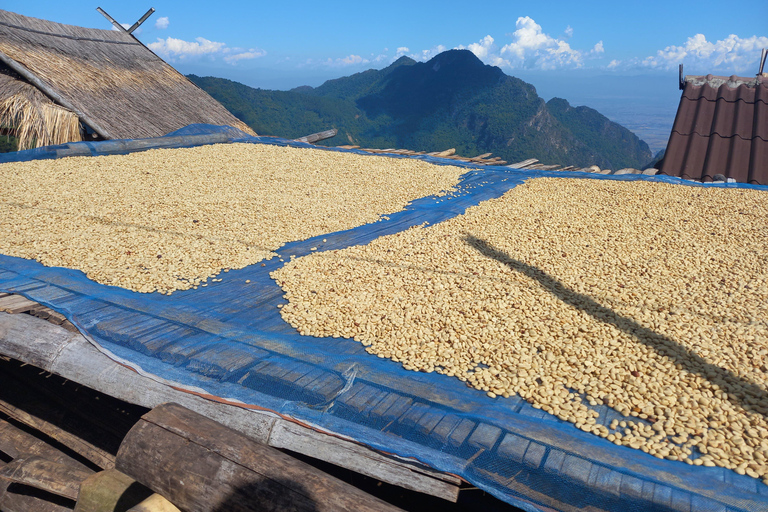 Chiang Rai: Northern Thailand Tour with Golden Triangle