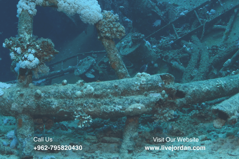 Aqaba: Dive Packages with Kits Start from 1 day to 5 days1 Day - 2 Dives