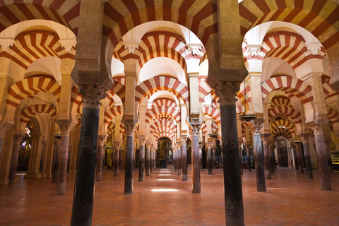 Málaga: 6-day sightseeing tour of Málaga, Seville, Córdoba, and Granada Private