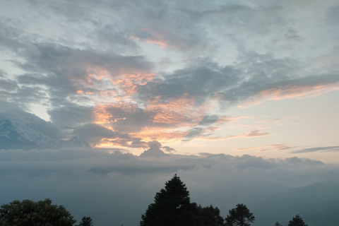 De Pokhara: Caminhada de 3 dias em Ghorepani Poon Hill com guia