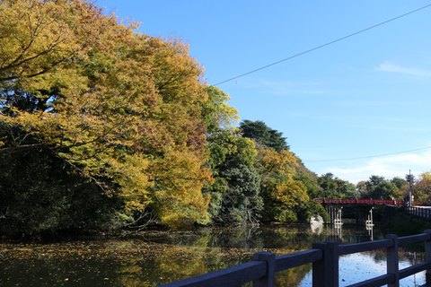 Takaoka: Mama-chari bike tour with Guide