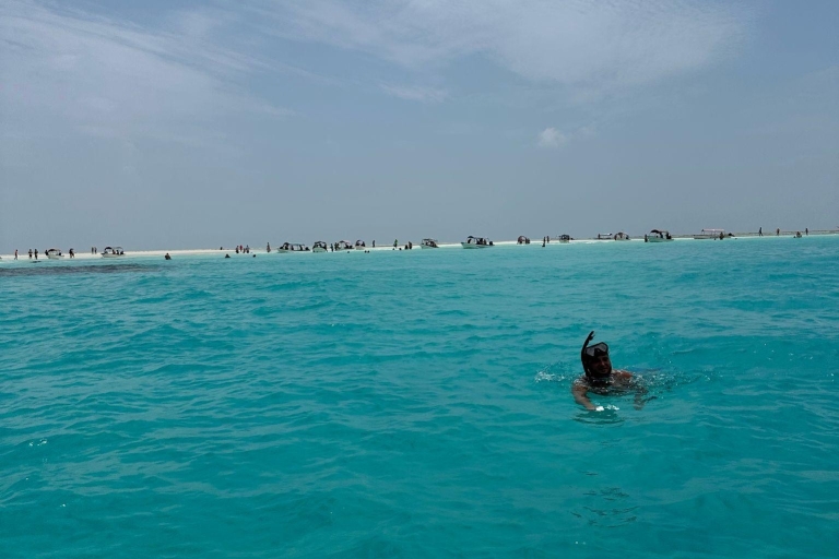 Snorkel y natación con delfines en la isla de mnemba