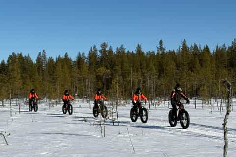 Rovaniemi: E-Fatbike-Tour zur Rentierfarm