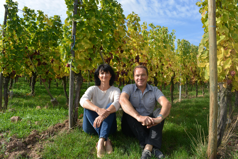 Gueberschwihr: Önologiekurs und Verkostung von 12 Weinen und 5 Amuse-BouchesGueberschwihr: Weinkunde-Kurs und Verkostung von 12 Weinen und 5 Häppchen