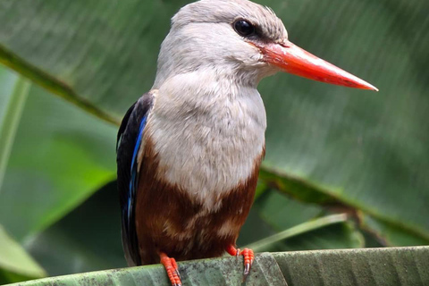 Wyspa Santiago: Wycieczka Serra Malagueta i dolina Gongon z piknikiemWyspa Santiago: Wycieczka Serra Malagueta + Dolina Gongon z piknikiem
