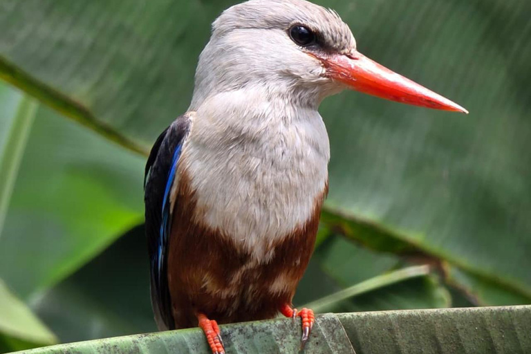 Wyspa Santiago: Wycieczka Serra Malagueta i dolina Gongon z piknikiemWyspa Santiago: Wycieczka Serra Malagueta + Dolina Gongon z piknikiem