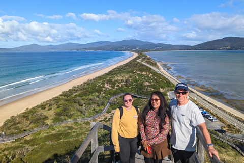 De Hobart: Excursão ativa de um dia pela Bruny Island AdventureDe Hobart: Bruny Island Nature e Produce Tour de dia inteiro