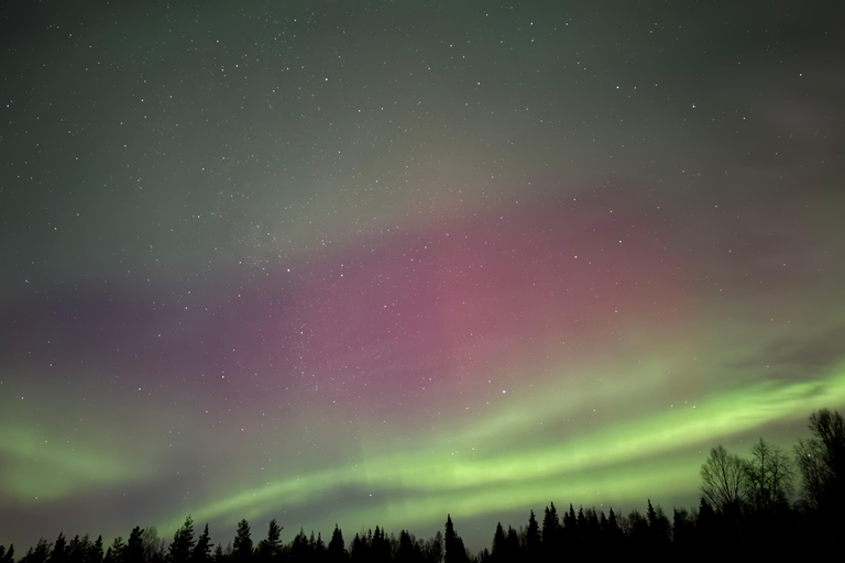 Rovaniemi: Guaranteed Aurora Tour with 96% Succes rate Default