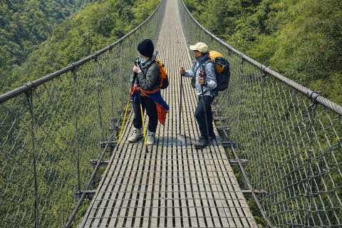 Pokhara: 9-Day Annapurna Base Camp Trek with Hot Springs
