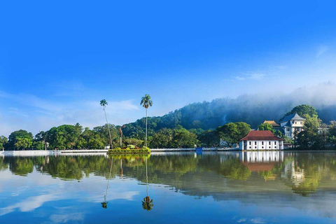 Kandy City Tour from Colombo - (Kandy Sightseeing Tour)