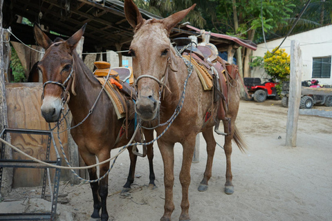 Visite de Yelapa tout compris