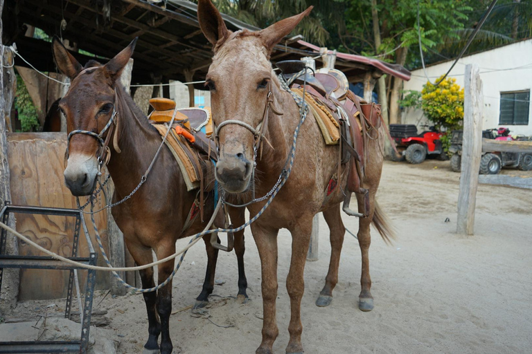 Yelapa tour todo incluido