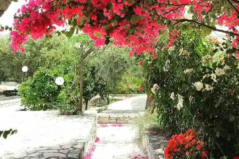 Cypriotische tradities en ezelavonturen