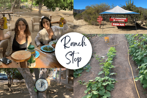 Cabo San Lucas: Santiago i Santa Rita Hot Springs Rural Tour