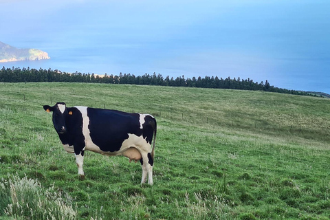 São Miguel: Lagoa do Fogo, Sete Cidades e Quinta leiteira Lagoa do Fogo and Sete Cidades Tour with Dairy Farm visit