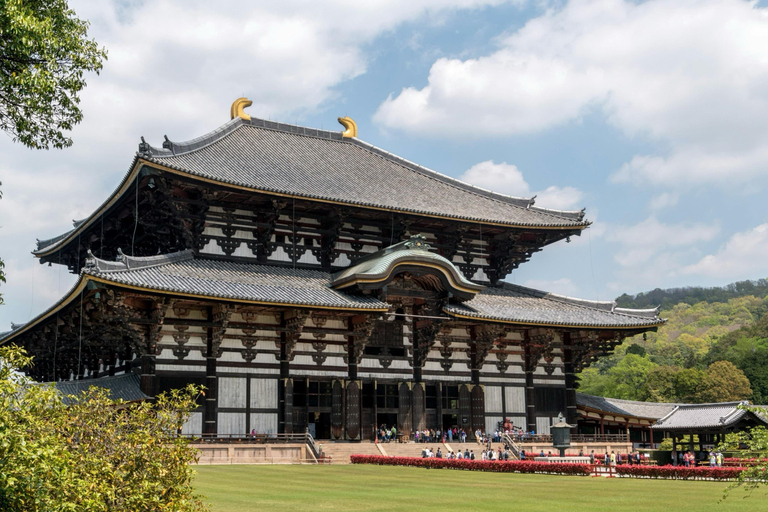Kyoto & Nara: Private Guided Tour with Hotel Pickup