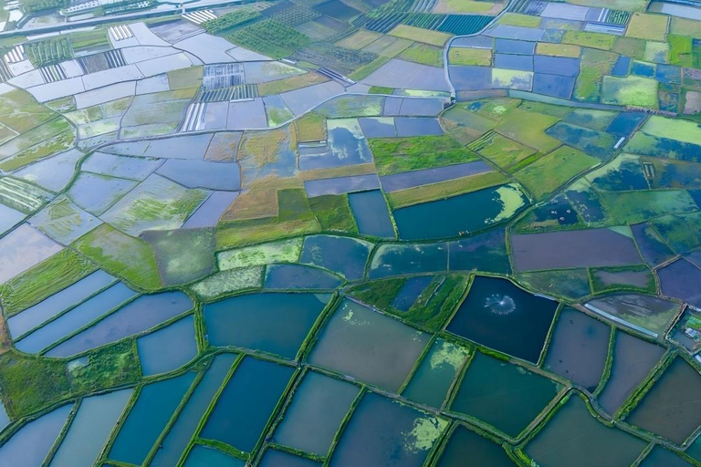 Guilin : tour en bateau dans les marais de Huixian et visite des champs de verre