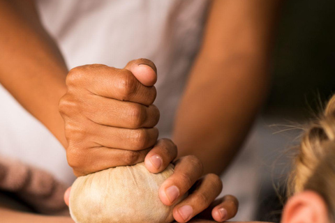 دلهي: جولة ليوم واحد في الأيورفيدا والثقافة والطهي